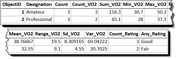 Input layer that was summarized using the Designation field Input layer that was summarized using the Designation field